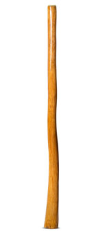 Gloss Finish Didgeridoo (TW1266)